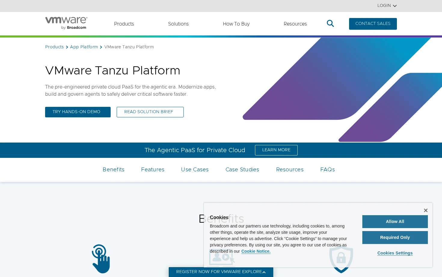 VMware Tanzu Platform 页面快照
